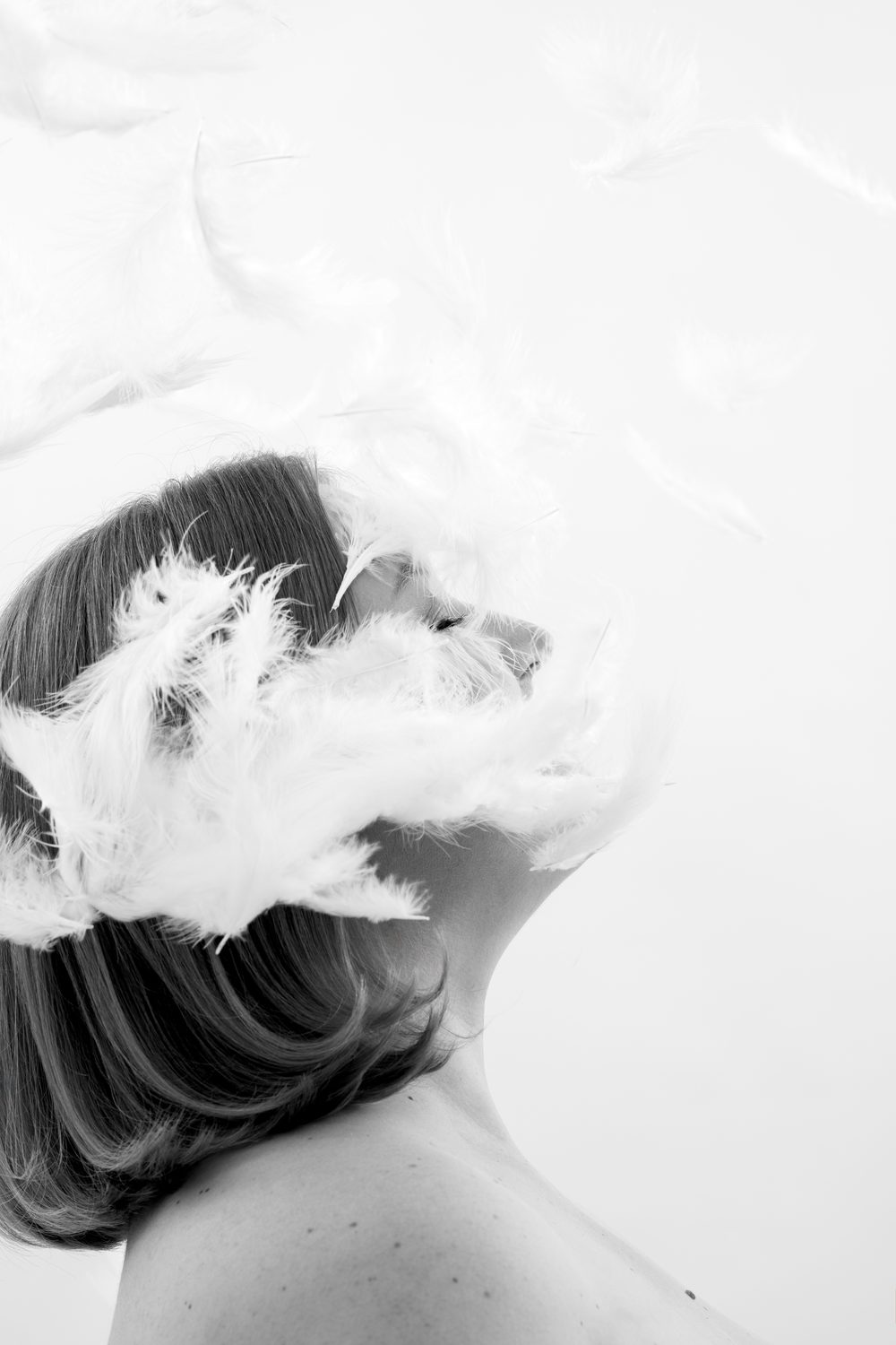 Fine art · feathers